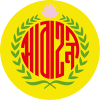 河南队